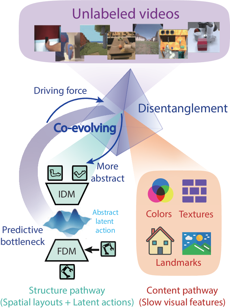 Diagram showing co-evolution between latent action learning and disentanglement.